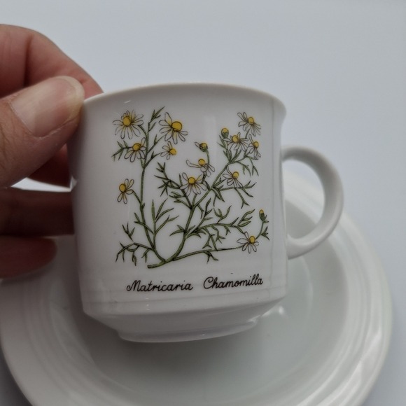 Vintage Seltmann Weiden Demitasse Tea‎ Cup & Saucer Set of 2 Bavaria Tea Flowers - Picture 5 of 9